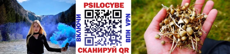 Псилоцибиновые грибы мухоморы  купить наркотик  Боровичи 